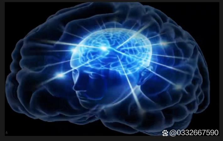 某上市公司CEO离婚案开庭，财产分割涉及数十亿资产